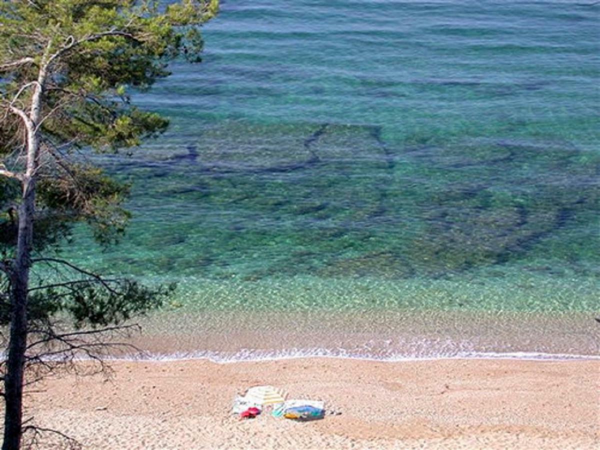**** Beau T2 de 40 m2, jardin de 70m2, au calme, à 50 mètres de la plage Le Pradet Extérieur photo